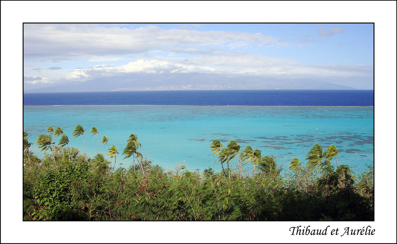 2009 - 08 - Moorea 32